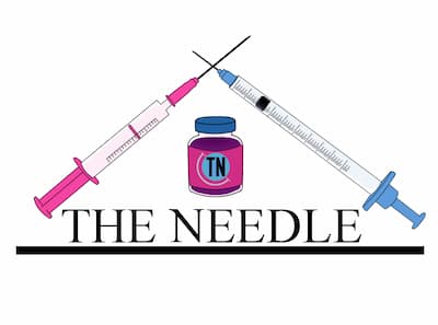 The Needle