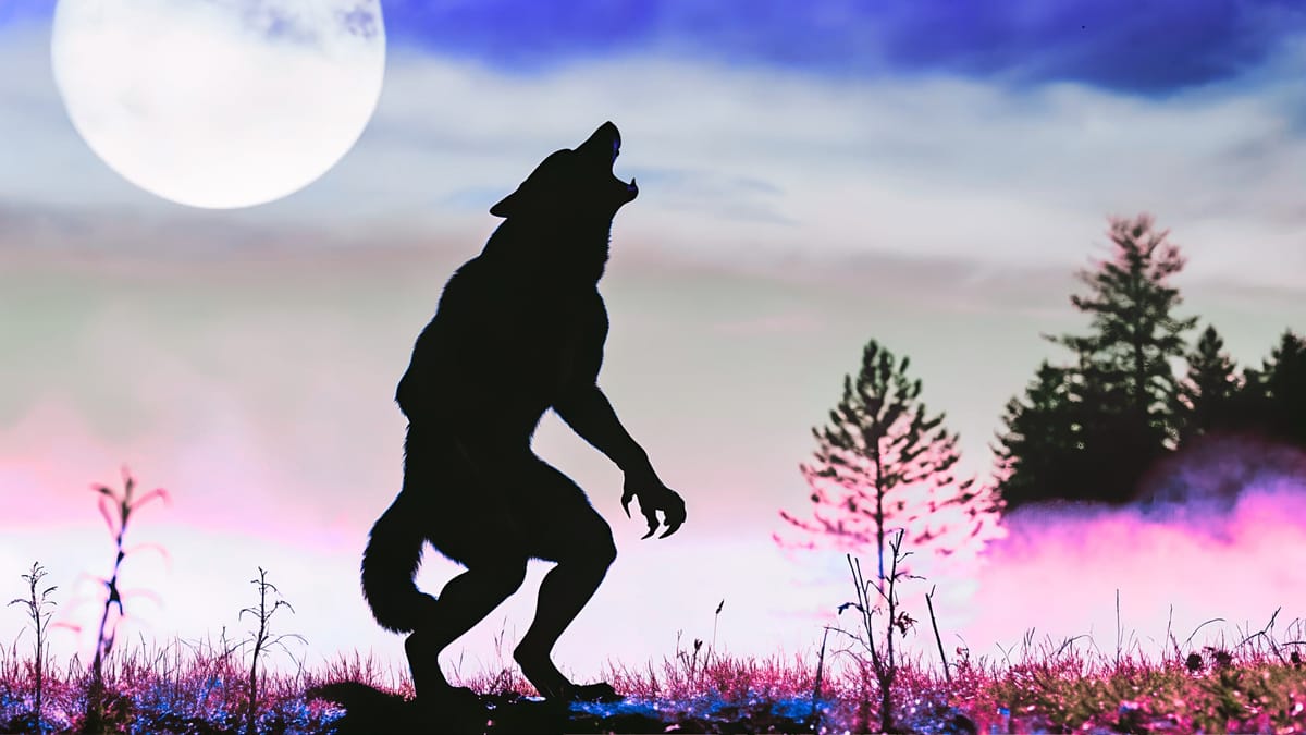 A trans folklorist explores the werewolf as a trans symbol