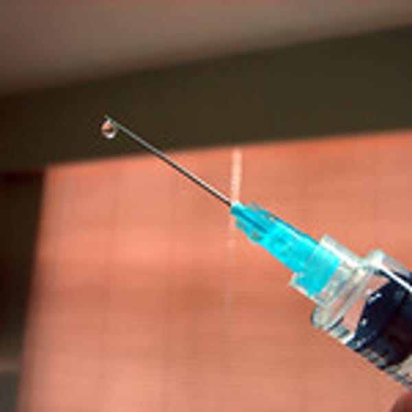The Needle Editors & Writers